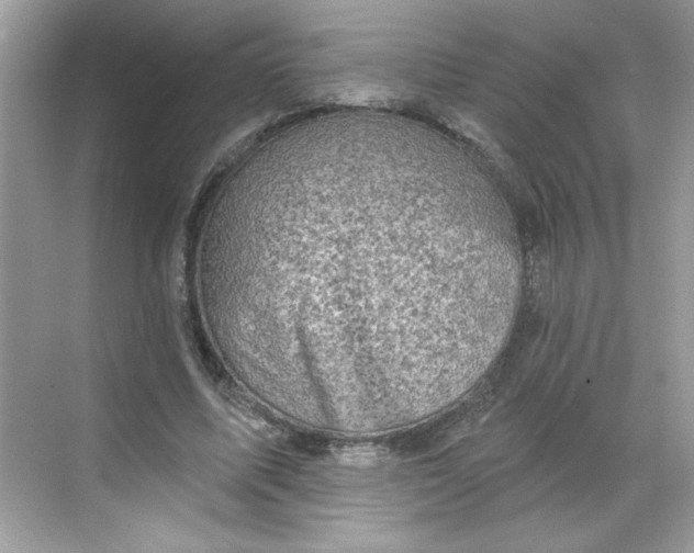 X0000068720587200605121454