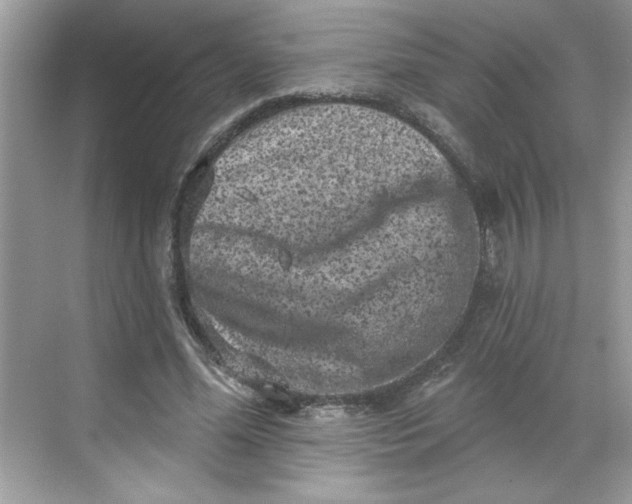 X0000068720588200605121454