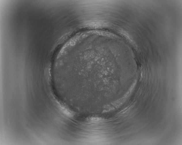 X0000068720590200605121454