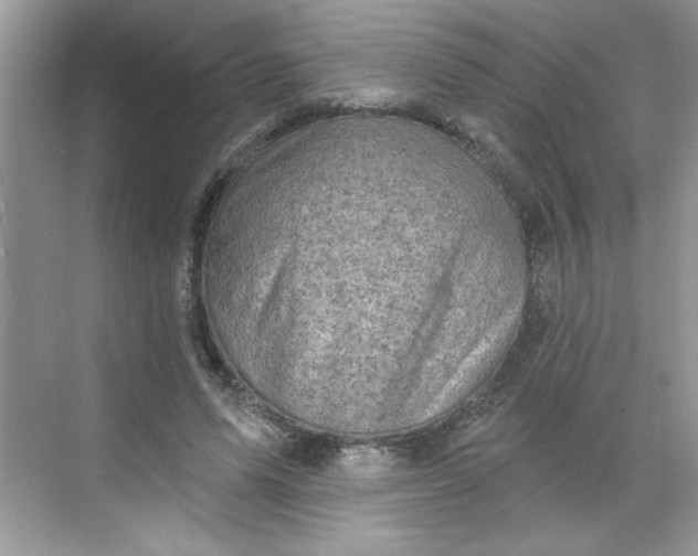 X0000068720591200605121454