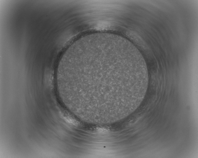 X0000068720592200605121454