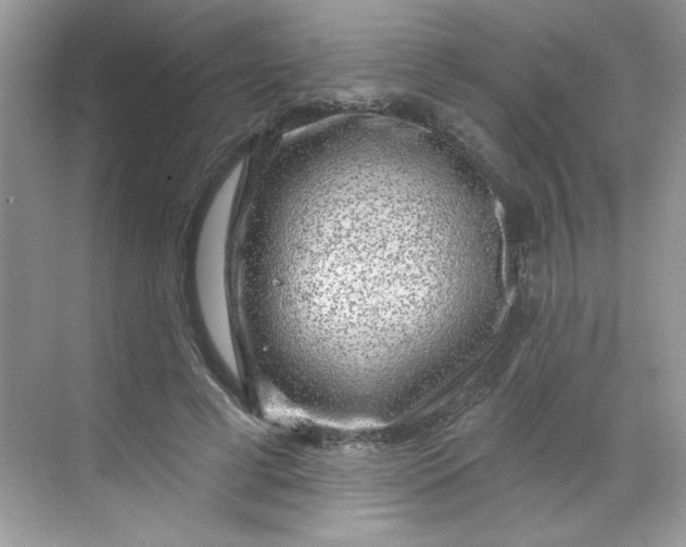 X0000068720593200605121454