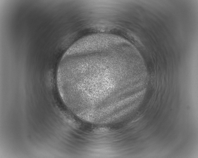 X0000068720594200605121454