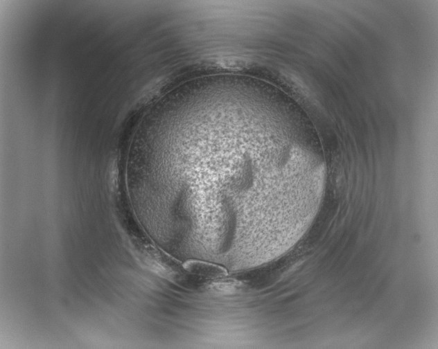 X0000068720595200605121454