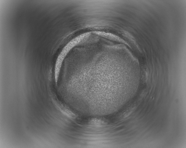 X0000068720596200605121454