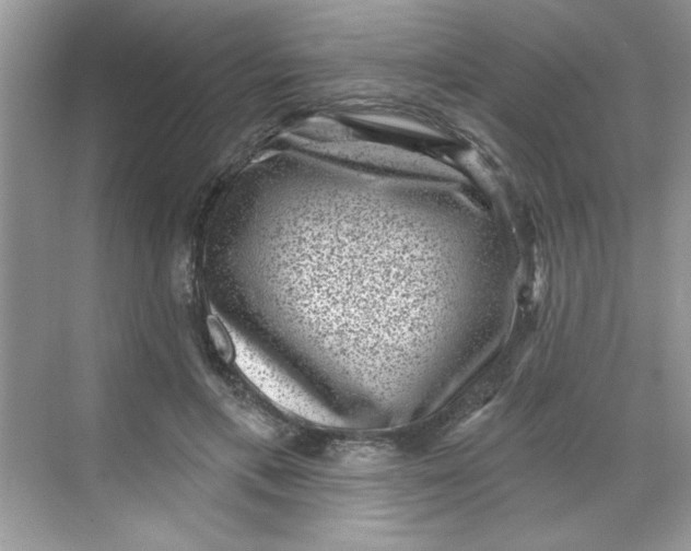 X0000068720597200605121454