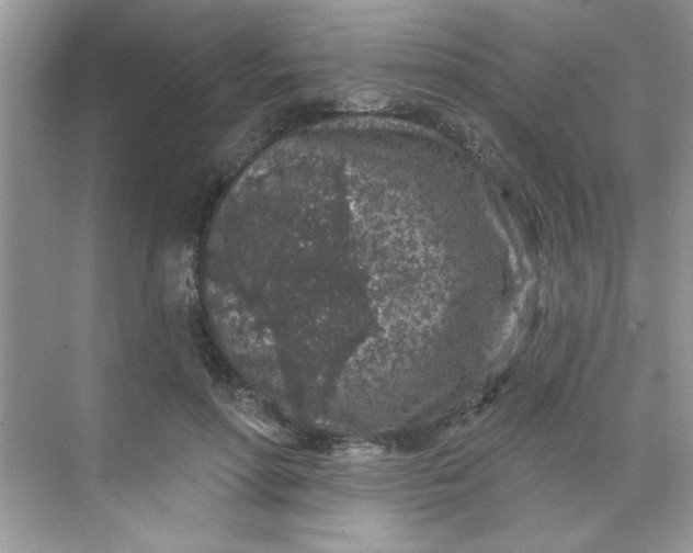 X0000068720598200605121454