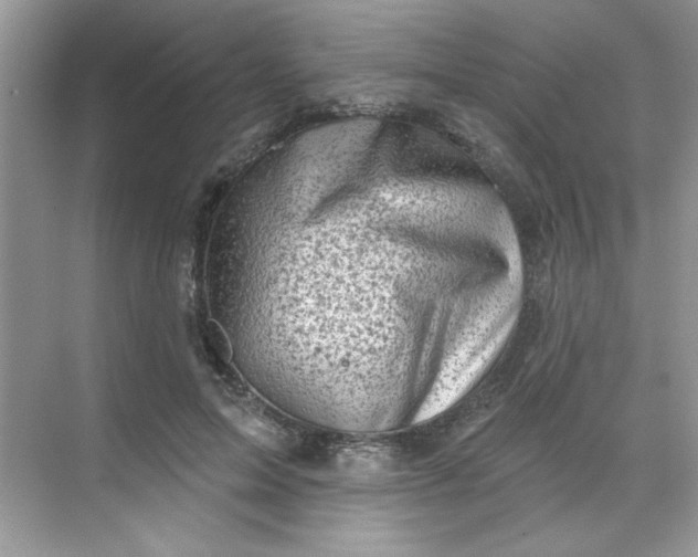 X0000068720599200605121454