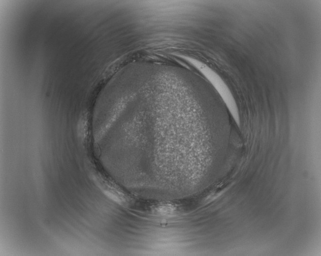 X0000068720600200605121454