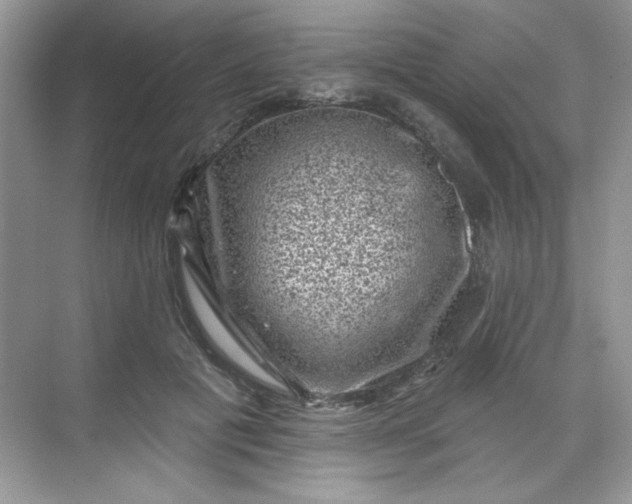 X0000068720601200605121454