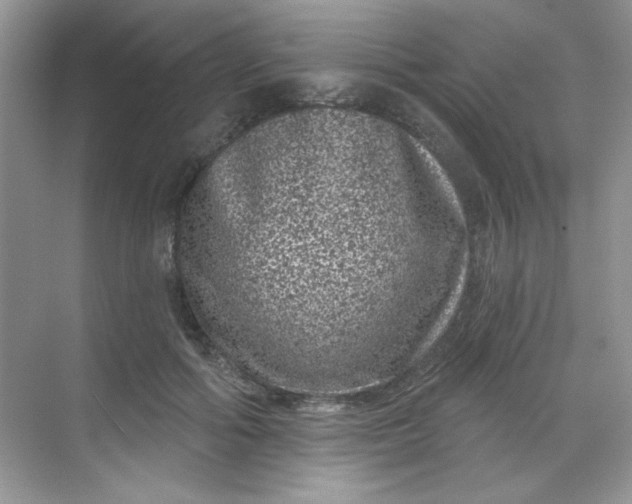 X0000068720602200605121454