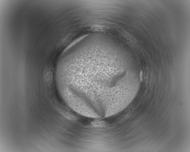 X0000068720603200605121454