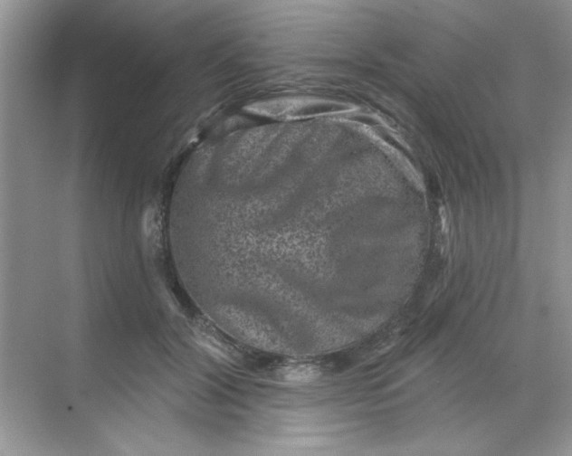 X0000068720604200605121454