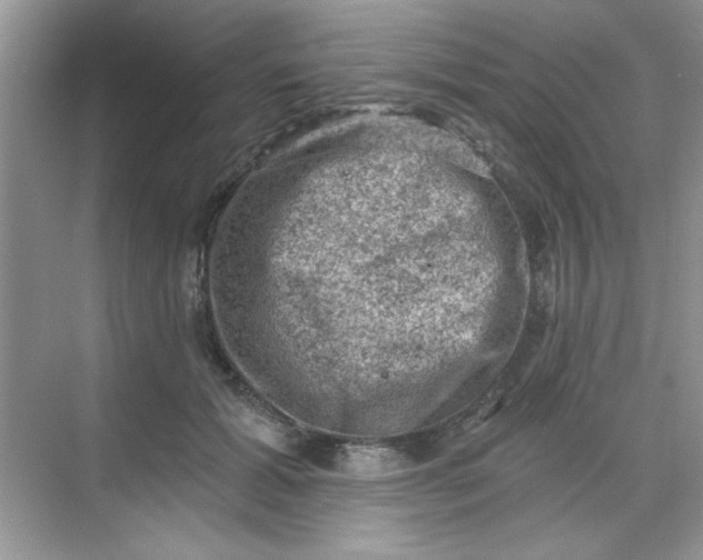 X0000068720605200605121454