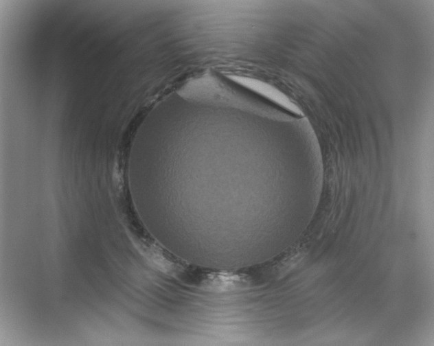 X0000068720607200605121454