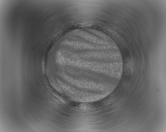 X0000068720608200605121454