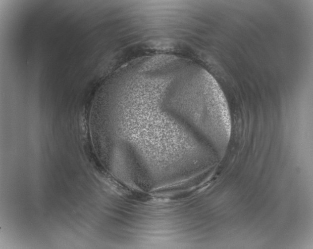 X0000068720609200605121454