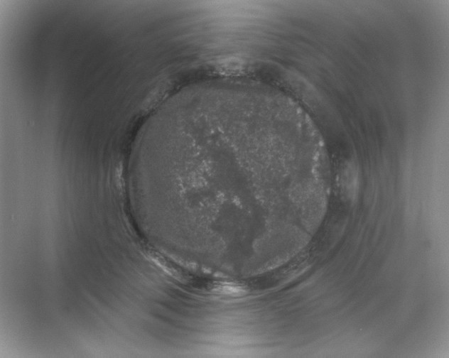 X0000068720610200605121454