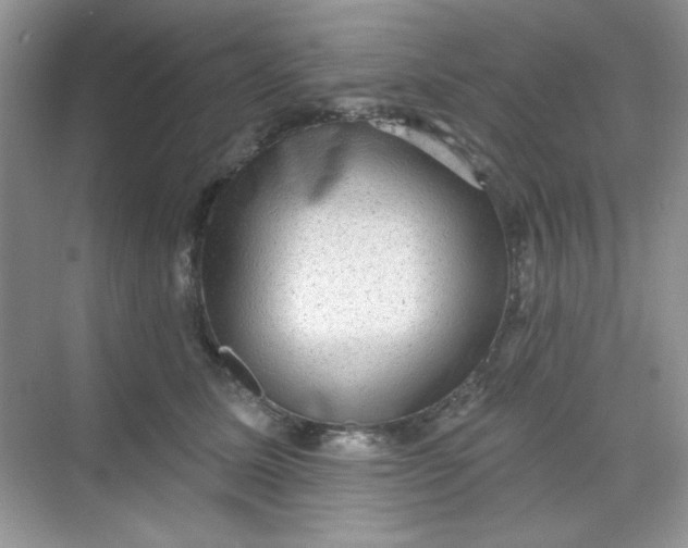 X0000068720611200605121454