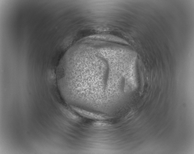 X0000068720614200605121454