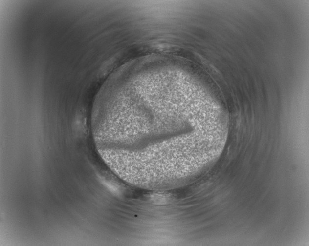 X0000068720615200605121454