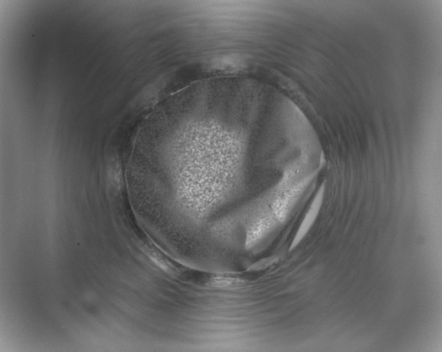 X0000068720617200605121454