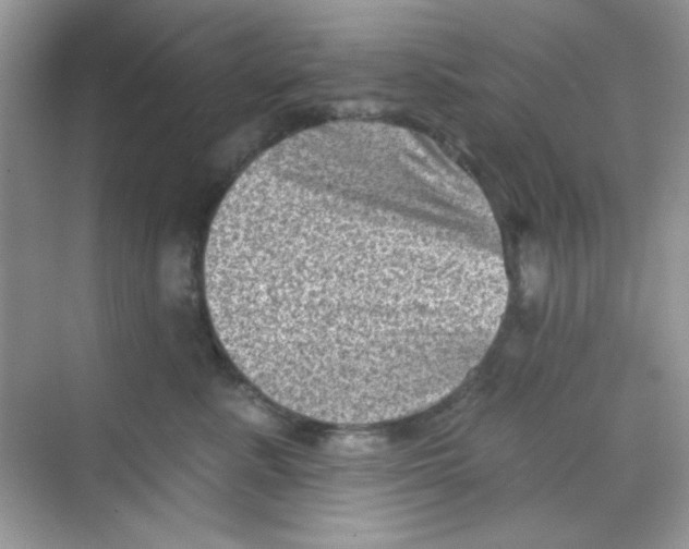 X0000068720619200605121454