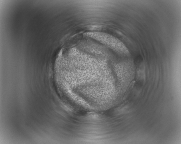 X0000068720620200605121454