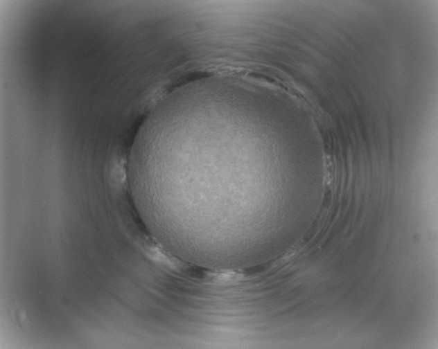 X0000068720621200605121454