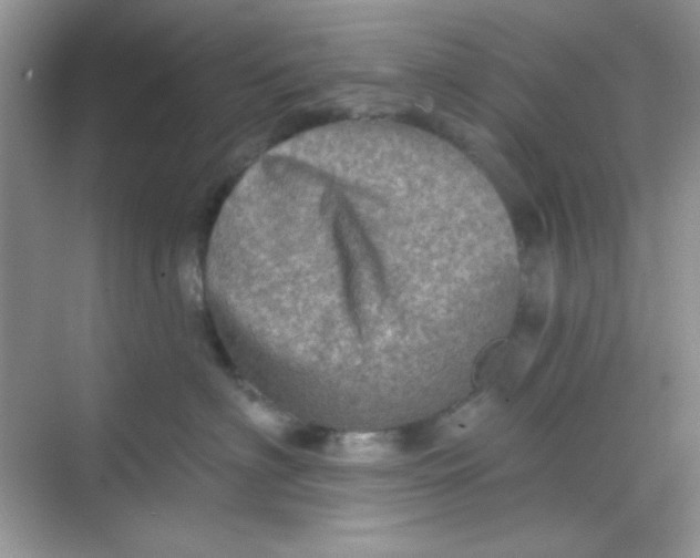 X0000068720622200605121454