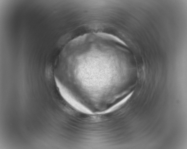 X0000068720623200605121454