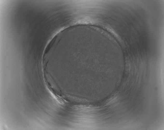 X0000068720626200605121453