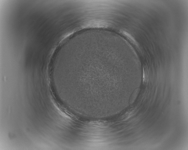 X0000068720627200605121453