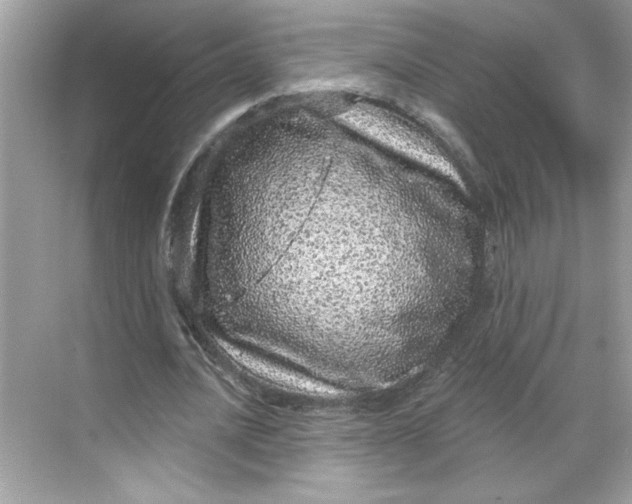 X0000068720628200605121453