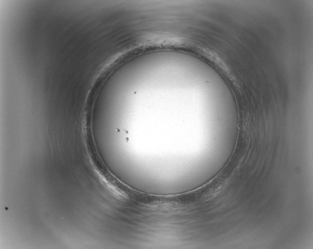 X0000068720629200605121453