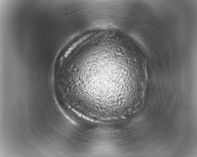 X0000068720630200605121453