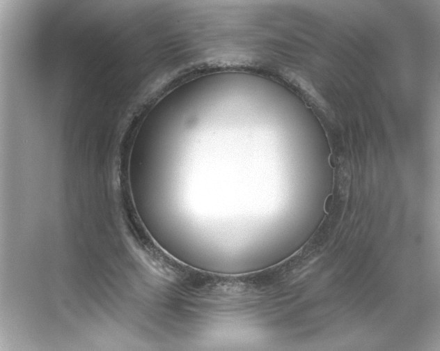 X0000068720631200605121453