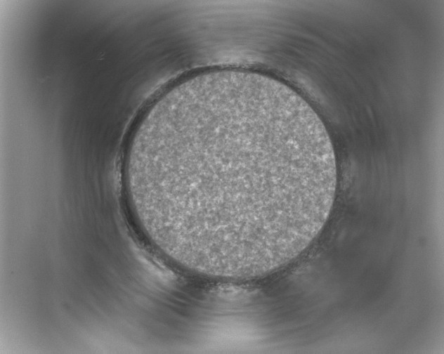 X0000068720632200605121453