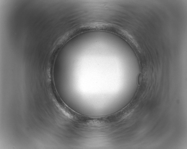 X0000068720633200605121453