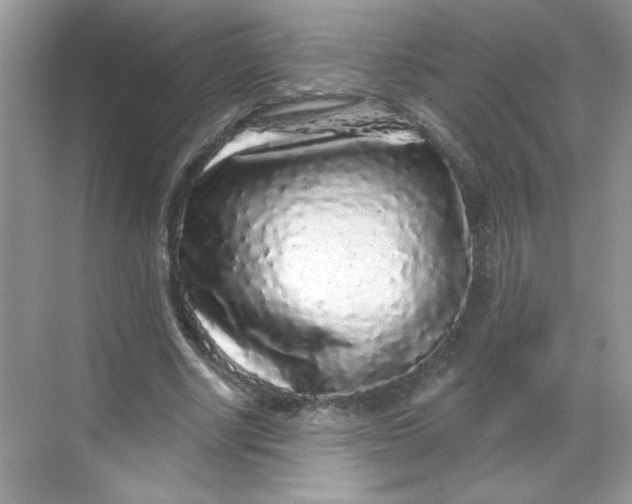 X0000068720634200605121453