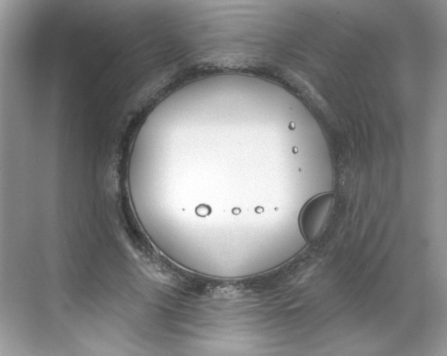 X0000068720635200605121453