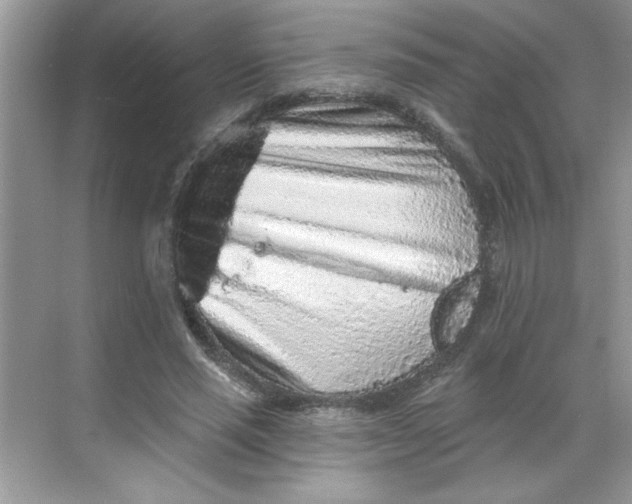 X0000068720637200605121453