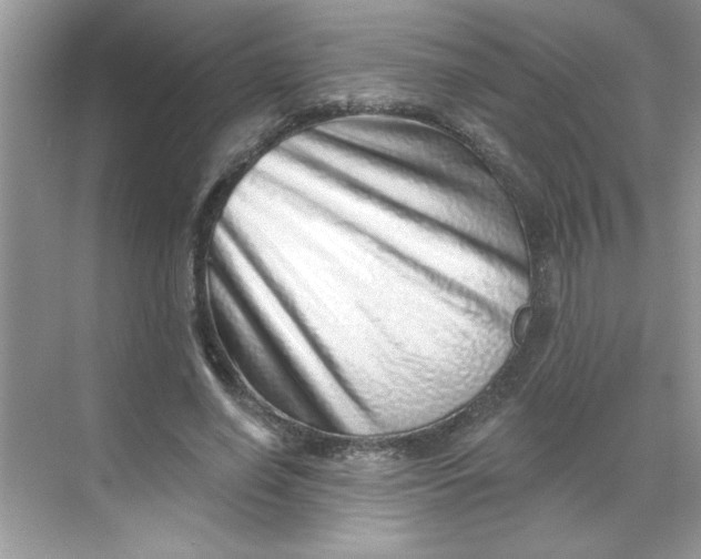 X0000068720638200605121453