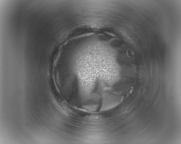 X0000068720639200605121453