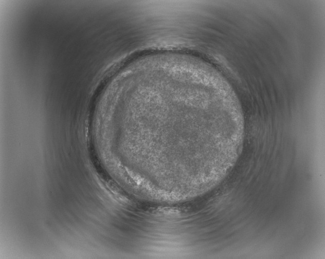 X0000068720640200605121453