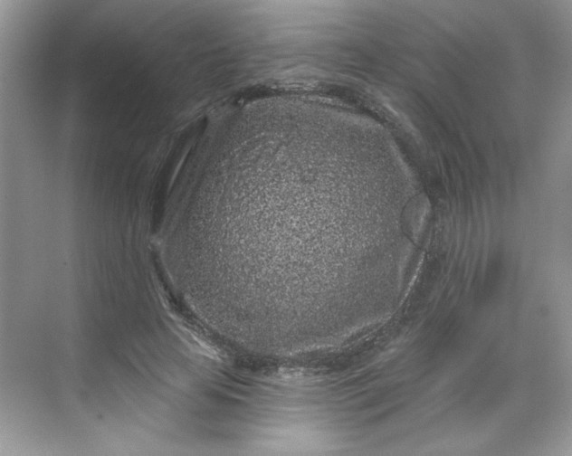 X0000068720641200605121453