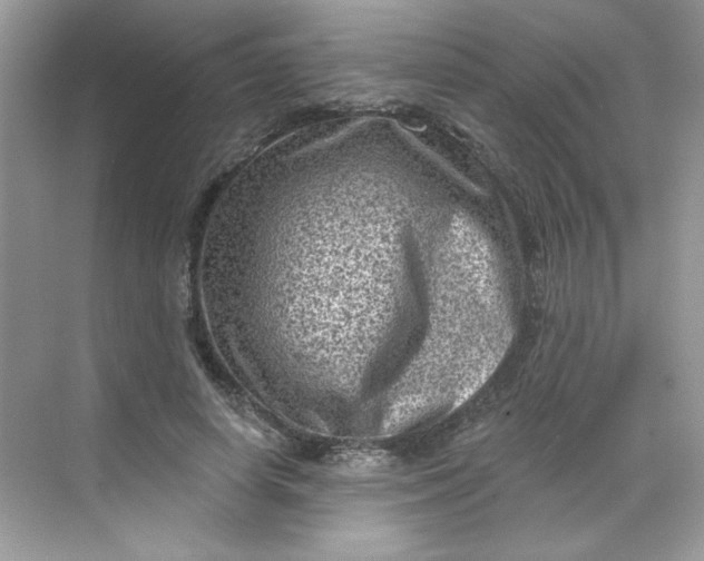 X0000068720642200605121453