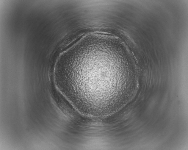 X0000068720643200605121453