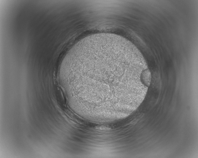 X0000068720644200605121453