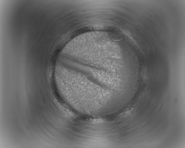 X0000068720645200605121453